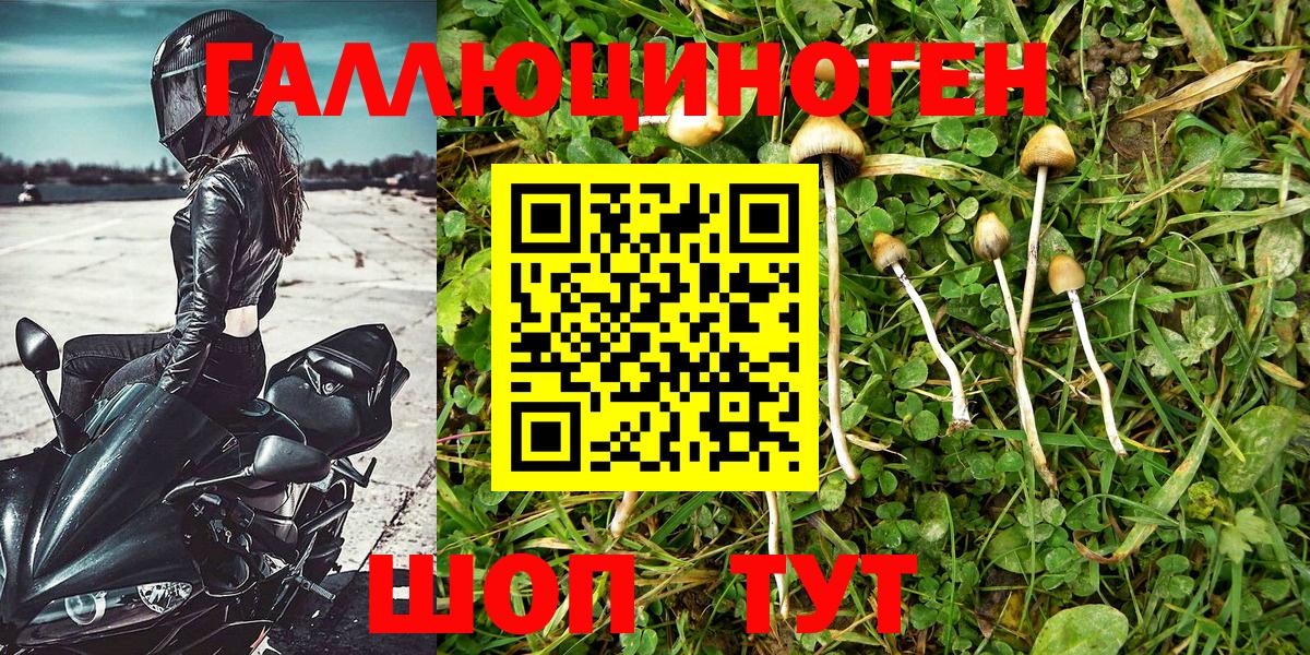 Галлюциногенные грибы мицелий Коммунар